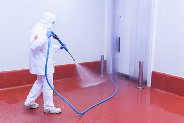 Best Winterizing Services  in Middleburg, FL