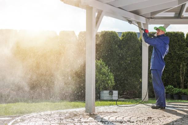 Best Building Exterior Washing  in Middleburg, FL